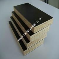 China The best price film faced plywood/marine plywood/ formwork plywood manufacturer on sale
