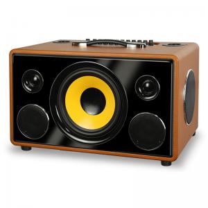80W Portable Bluetooth Speaker 45Hz - 20KHz With Handle 2 Microphone