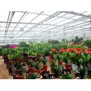 China Exhibition Commercial Outdoor Greenhouse , Flower Growing Large Green Houses supplier