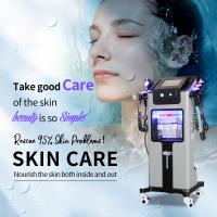 China 10 In 1 Spa Face Beauty Oxygen Facial Machine Professional For Home And Commercial on sale