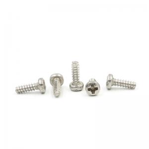 China Stainless Steel Self Tapping Miniature Machine Precision Mini Micro Screw