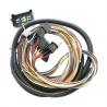 China Hainr Universal 12 Circuit Wiring Harness For Chevy Engine wholesale