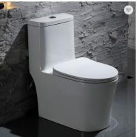 China Extra Height Inodoros Rimfree Sanitary Ware Toilet White Ceramic Wc Toilet Bowl on sale