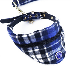 China El correo del arnés del neopreno fijó la hebilla del metal que funcionaba con los cuellos de perro de lujo wholesale