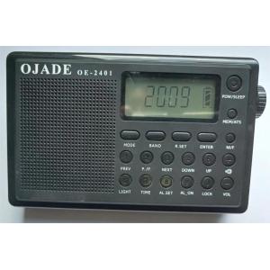 LCD Display FM MW SW Radio 230g Rechargeable Clock Radio Dry Batteries