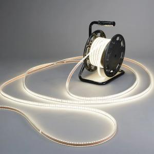 China Warm White Cold White 230V LED Strip Light IP65 5m Flexible With Plug wholesale
