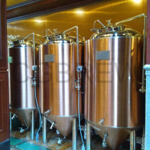 China 200L brewpub equipment for sale for small business on craft beer supplier