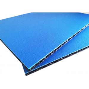 China PP Bubble Structure Skin Textured Honeycomb Board Sheets supplier