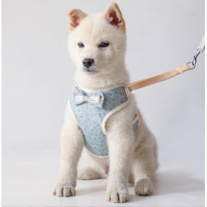 China Doucement aucun harnais respirable réglable de Mesh Leash And Cat Chest de traction pour le chiot supplier