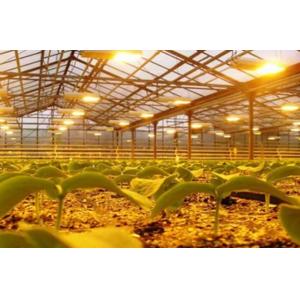 Tomato Cucumber Lettuce Growing System Gross Weight 2000.000kg Request Customization