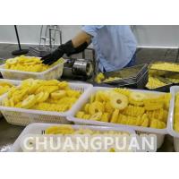 China 2-10T/H Pineapple Processing Line Stainless Steel Fully Automatic on sale