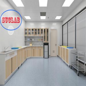 China CUsomized Made Hospital Furniture Medical Disposal Cabinets Cost with Adjustable Shelves supplier