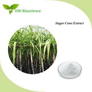 Natural Sugar Cane Extract Powder 557-61-9 To Improve Stress Strength