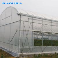 China Galvanized Single Span Plastic Tunnel Greenhouse Customized Vegetable Growing on sale