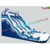 Giant Dolphin Outdoor Inflatable Water Slides , Three Line Inflatable Water