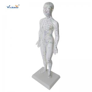 Female Medical Acupuncture 48cm Human Body Massage Model