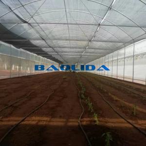 Clear UV Treated Film Anti Rust Metal Structure Tunnel Greenhouse