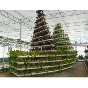 Glass Greenhouse Hydroponic Setup for Year-Round Cultivation Affordable Shipping Cost