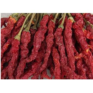 China Block Shape Xian Chilli Seasoning Stemless Long Dry Red Chilli supplier