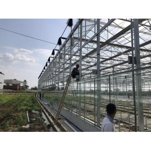 China Agricultural / Industrial Garden Greenhouse For Vegetables / Mushrooms / Flowers supplier