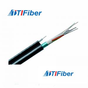 China Waterproof Fiber Optic Data Cable , 2-144 Cores Fibre Optic Lead GYTC8S For Aerial supplier