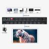 Bitvisus 8K Professional Video Wall Processor - 9 Outputs, Synchronized High-Definition Video Output BIT-MSE-8K-309HD