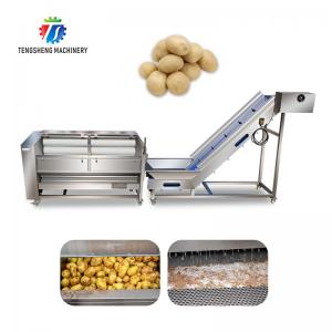 1.5 Tons / Hour Fruit And Vegetable Processing Line Root Brush Washing