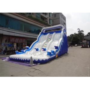China Outdoor Double Dolphin Inflatable Backyard Water Slide With 9L X 4W X6H supplier