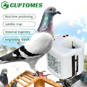 China Type C Dual Charging Racing GPS Pigeon Tracking Rings GPS LBS Precise Positioning wholesale