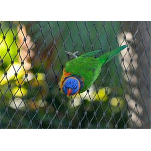 Durable Parrot Aviary Mesh Stainless Steel High Strength Long Service Life