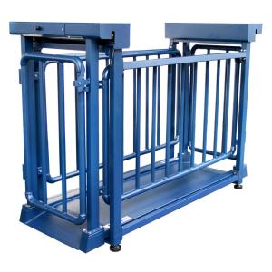 China AC110V/220V 1.5t Heavy Duty Stainless Steel Electronic Cattle Livestock Weighing Scale for Farm Accurate and Dependable wholesale