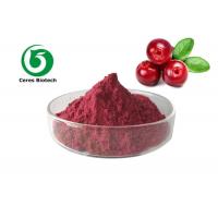 China CAS 84082-34-8 Natural Fruit Juice Powder Organic Cranberry Juice Powder on sale
