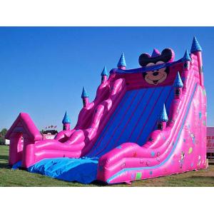 Inflatable Amusement Park With Big Inflatable Slide For Adult / Kids