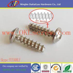 Phillips Truss Head with Flange Stainless Steel PT Screws for Thermoplastic