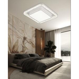 China 6000K LED Ceiling Lamp Anti Rust Iron Chassis for Home Commercial Space wholesale