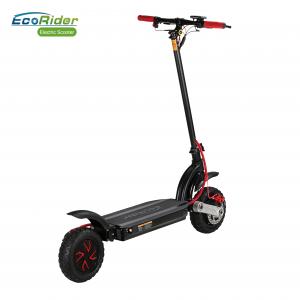 China Dual Motor Off Road  2 Wheel Electric Scooter Two Wheels Electric Scooter supplier