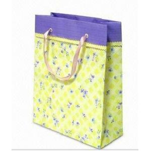 China paper shopping bag xmas paper bag christmas gift paper bag fashion paper bag supplier