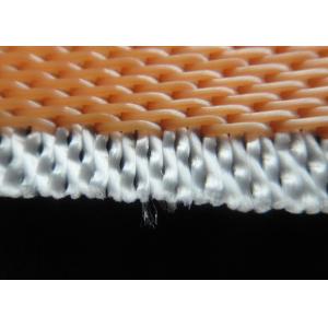 China Polyester Monofilament Netting Desulfurization Belt Filter Cloth supplier