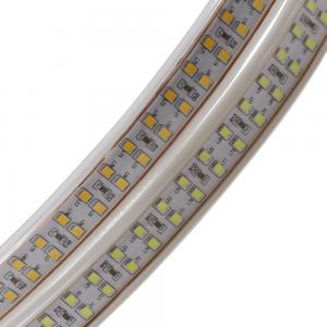 China CE RoHS Magnetic Rainproof two row chips 2835 outdoor led strip lights for decoration supplier
