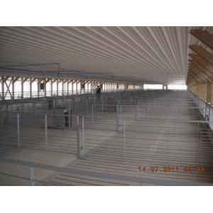 Hot Galvanied Steel Pig Farming Equipment , Pig Sow Stalls For Fattening Hog