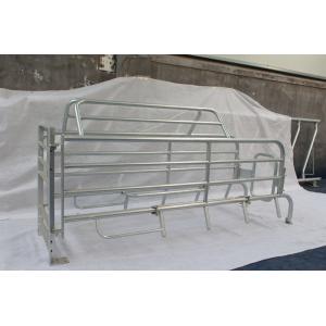 New Type Indoor Guinea Pig Cages Used As Farrowing Crates / House  Easily Clean