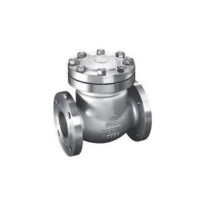Stainless Steel 316 Flange Swing Check Valve DN25 CL300 RF CF3M