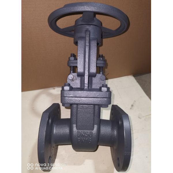 Cast Iron Gate Valve with 150-300 PSI Pressure Rating and ≤120℃ Operating Temperature Compliant with API 598 Testing Standard