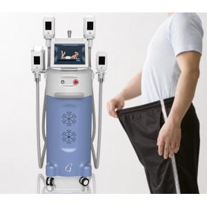 China 4-5cm fat lost after 1 treatment Cryotherapy slimming machine with 12 inch LCD screen supplier