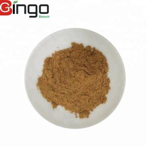 Radix Notoginseng P.E./Pseudo-ginseng/san qi Herbal Dietary Supplement