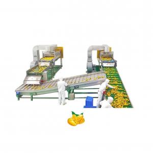 China Automatic Mango Processing Line Juice Machine Industrial Commercial supplier