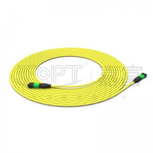 12f MPO Backbone Patch Cord SM G657A1 / A2 Ribbon Cable Bend Resistant