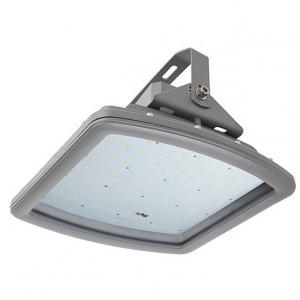 0.98 Led Explosion Proof Light Fixture 100W Meanwell Battery
