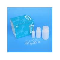 China Mitochondrial Magnetic Bead DNA Extraction Kits Rapid Efficient For PCR on sale