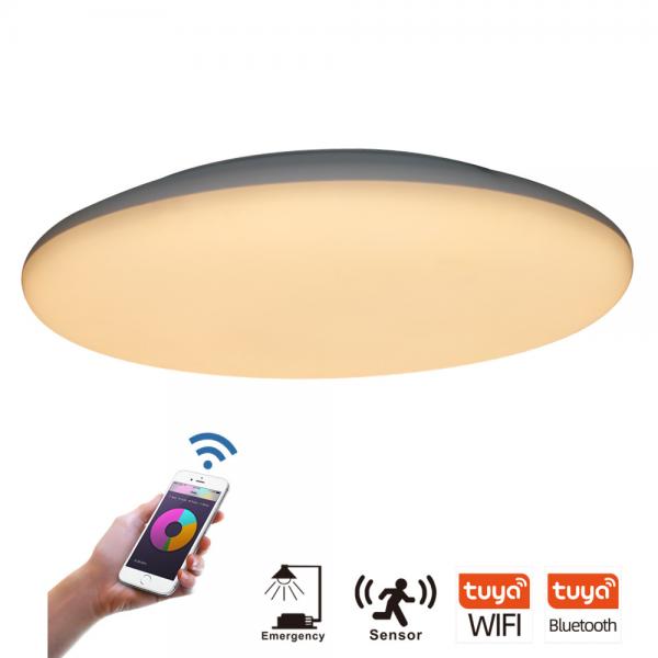 Motion Activated LED Ceiling Lights